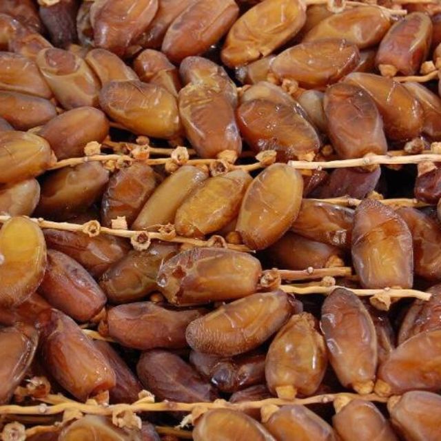 Kurma bertangkai