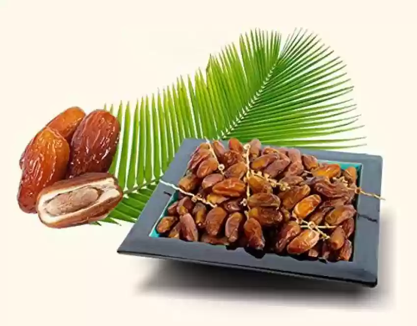 Kurma Tunisia